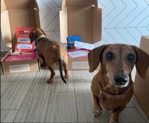 salud de tus mascotas