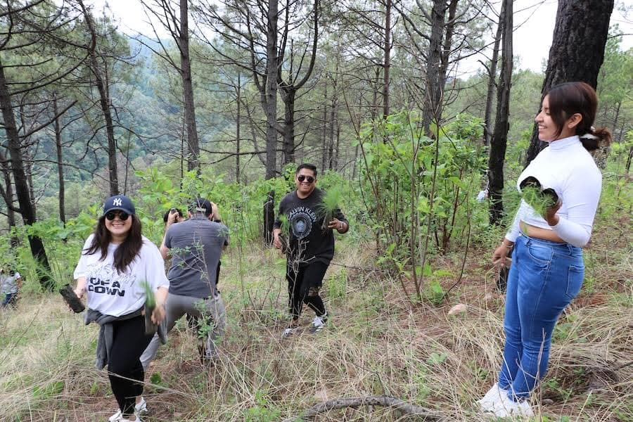 Starcom Worldwide México