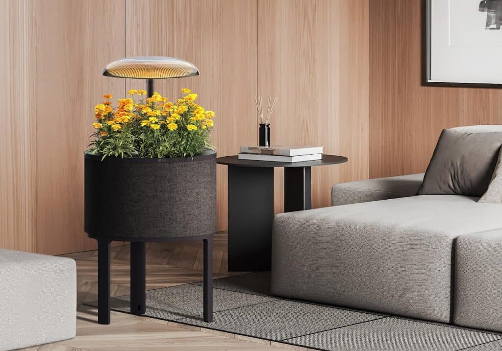  jardinería de interior