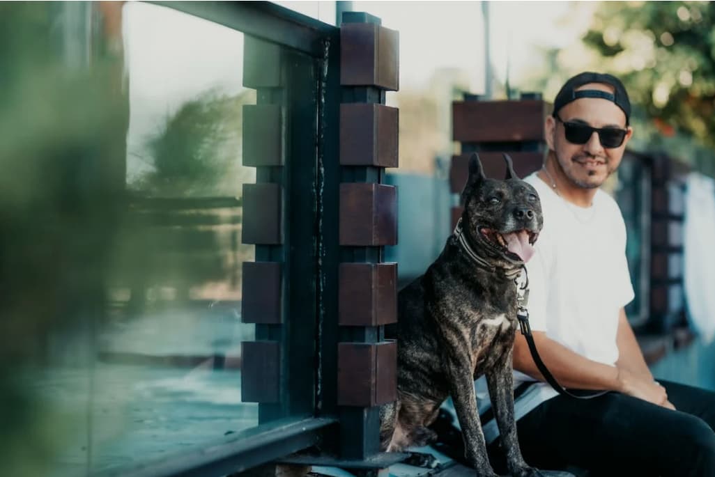 Los perros nos hacen mejores personas