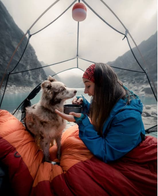  viaje Pet Friendly 