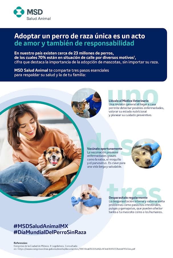 Adopta con propósito