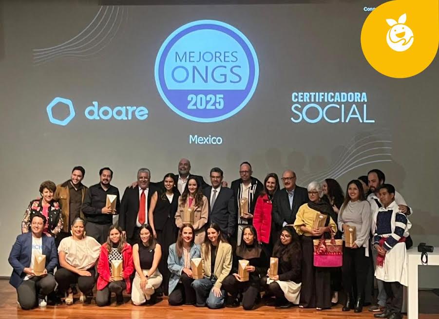 Mejores ONGs 2025