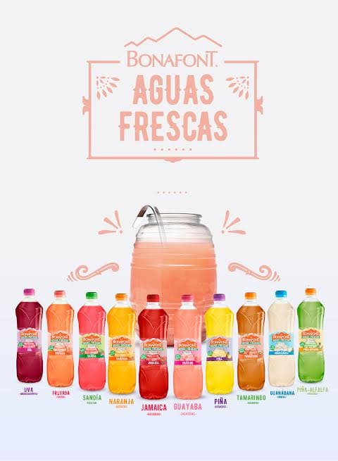 bebidas tradicionales