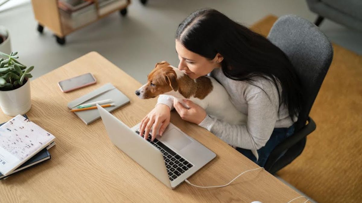 llevar a tu perro al trabajo