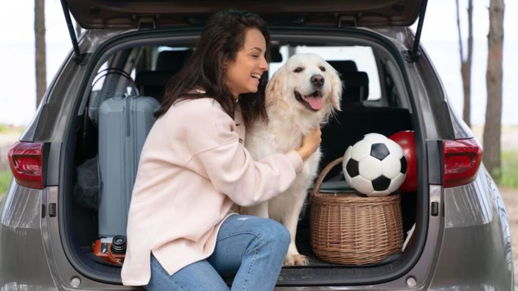 viajar con mascotas