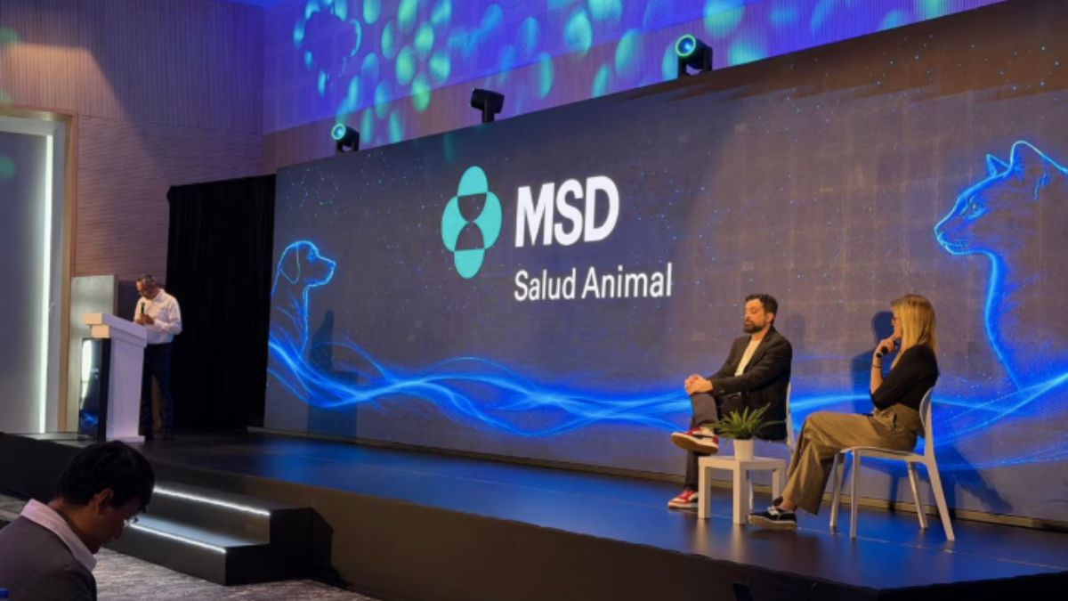 desparasitación en mascotas